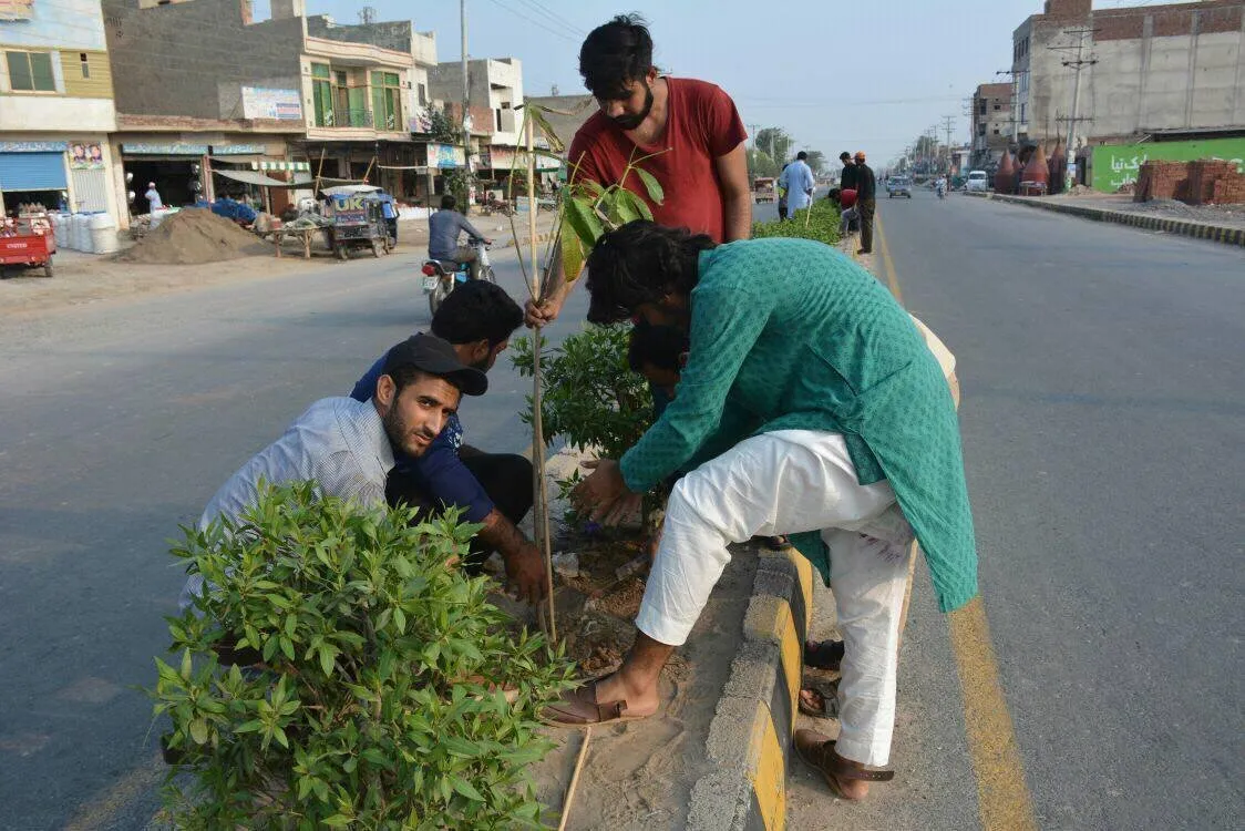 Green Seekers Activity